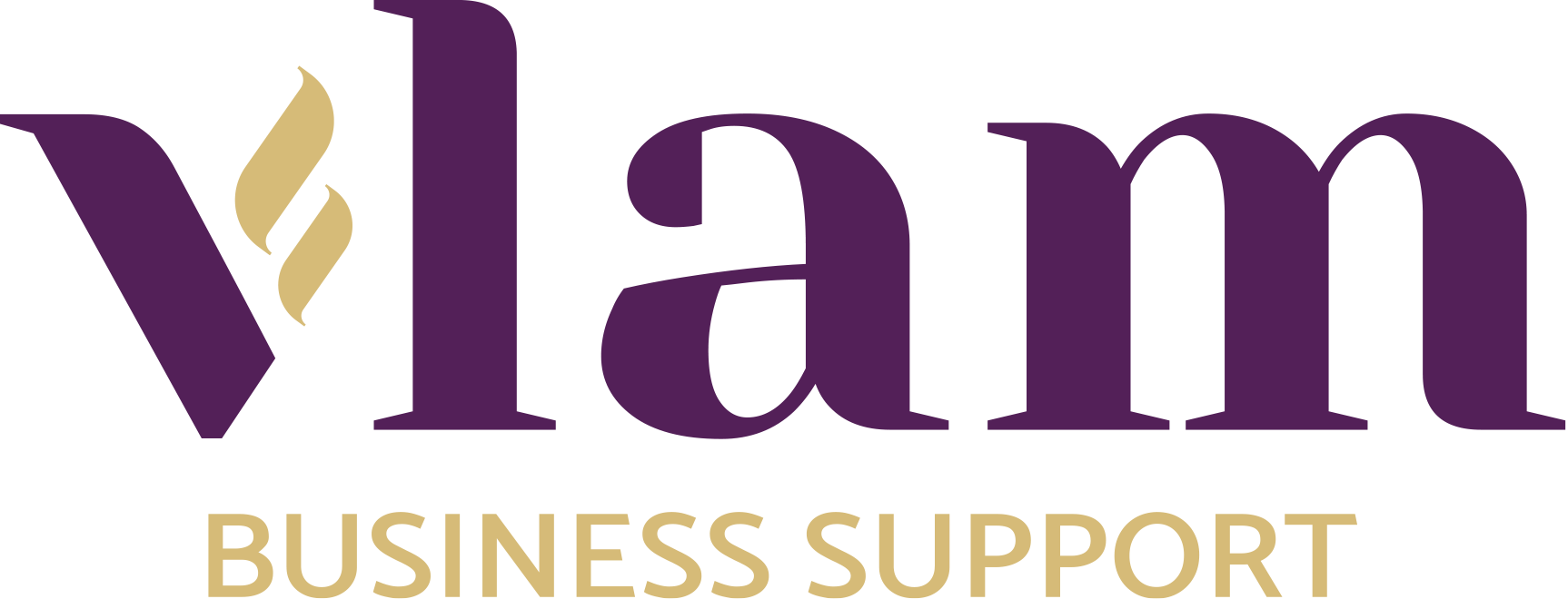Logo_Vlam_2025